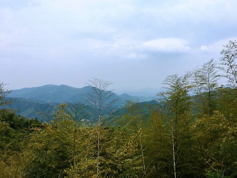 青山