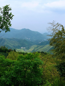 青山
