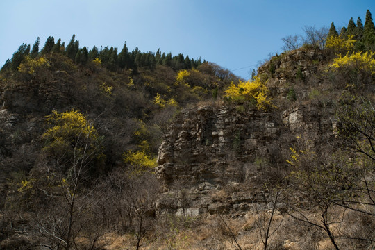 黄花溪