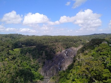 澳大利亚库兰达雨林