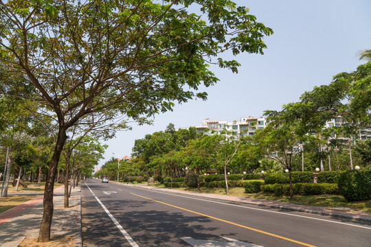 城市道路