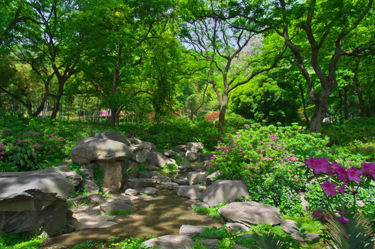 初春森林公园园林景观
