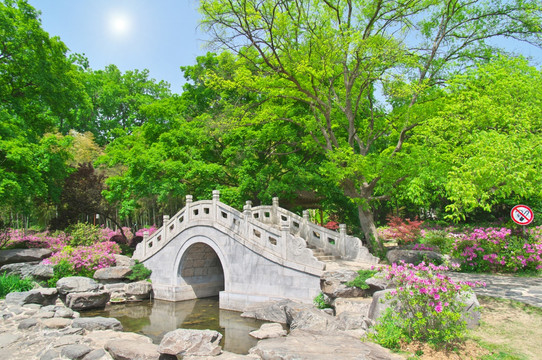 初春森林公园园林景观