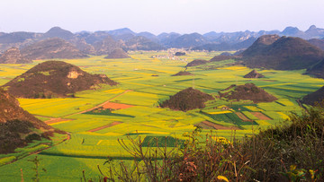 罗平金鸡岭