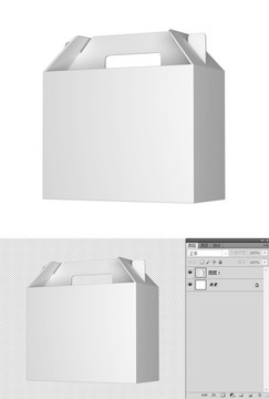包装效果图 效果图 手提式包装