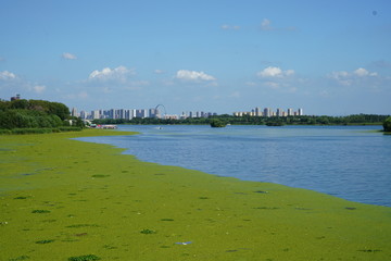 沈阳浑河 风景 蓝天