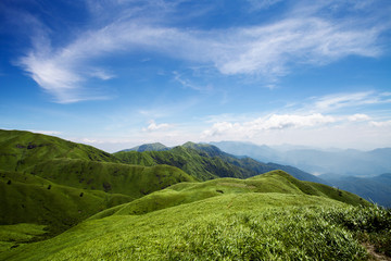 高山草甸高山草原