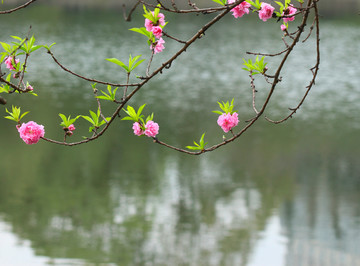 交大镜湖