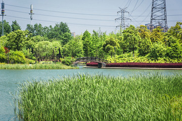 城市公园湖边