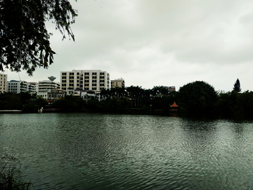 雷州西湖风景