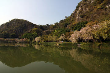 肇庆七星岩星湖春晓