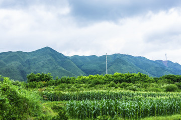 田园风光