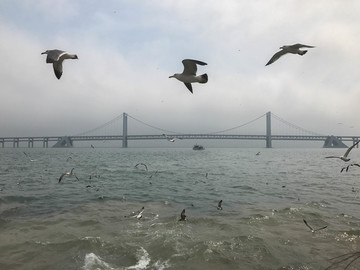 大连海滨