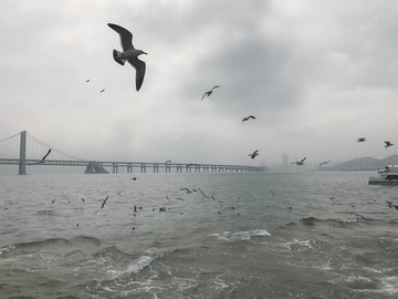 大连海滨
