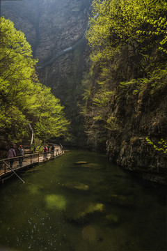 京东大峡谷