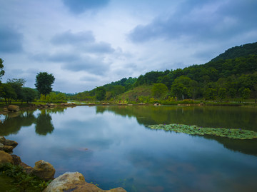 宁静水面