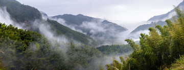 武功山竹海