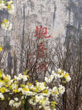 龙宫风景区