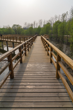 防腐木木桥步道