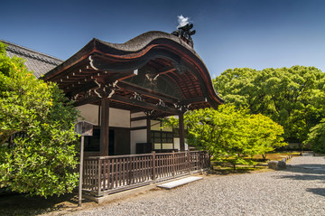日本京都青莲院花园