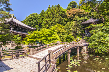 京都的知恩院石桥和花园