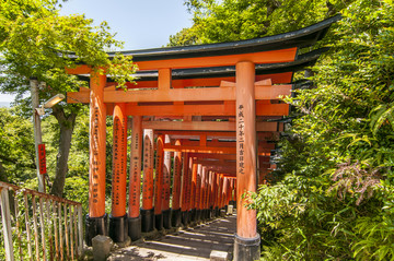 日本伏见稻荷神社的红色木制大门