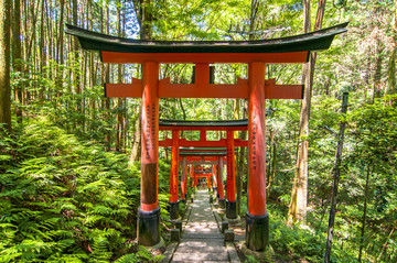 日本伏见稻荷神社的红色木制大门