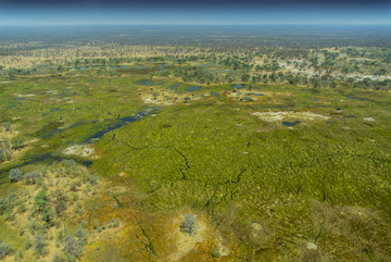 奥卡万戈三角洲的河流和草原