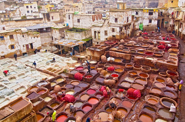摩洛哥的传统皮革制革厂