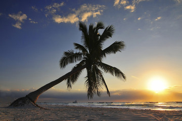 图伦海滩的日落和棕榈树