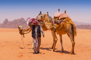 瓦地伦沙漠的贝都因人和骆驼