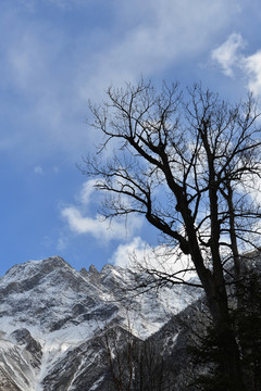 毕棚沟雪山