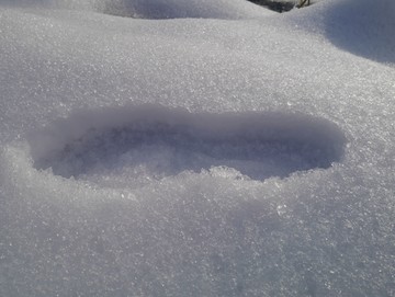 雪地脚印