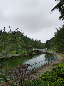 湖畔风景 湛江寸金桥公园