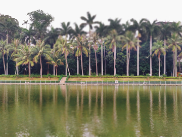 湖畔风景 湛江寸金桥公园