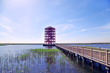 湿地景区木桥