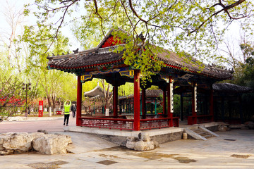 地坛公园 北京风景 园林景观