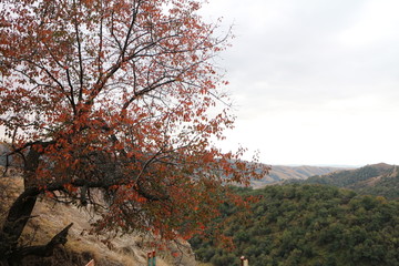 秋色山谷