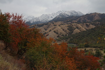 秋山美景