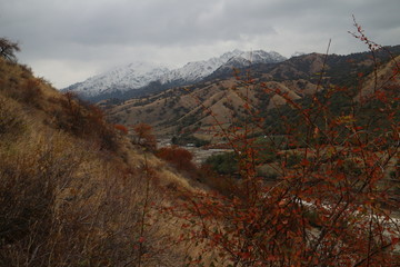 万山红遍