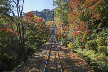 日本关东高尾山