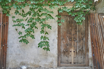中式古建筑门