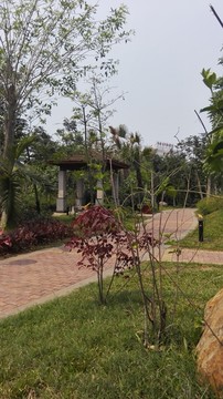 学校植物园