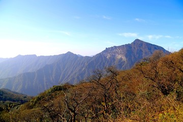 高山 植被