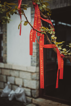 百花洲庭院