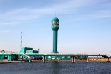 湿地 芦苇 水 大庆