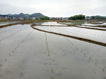 田野农耕梯田