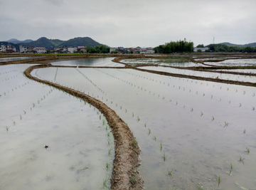 田野农耕梯田