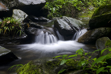 峡谷青苔溪流