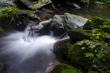 峡谷青苔小溪